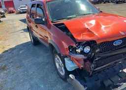 2007 FORD ESCAPE XLT