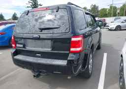 2010 FORD ESCAPE XLT
