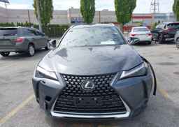2024 LEXUS UX 250H