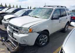 2011 FORD ESCAPE XLT