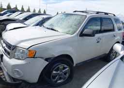 2011 FORD ESCAPE XLT
