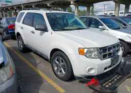2011 FORD ESCAPE XLT