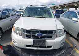 2011 FORD ESCAPE XLT