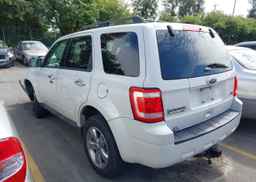 2011 FORD ESCAPE XLT