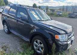 2010 FORD ESCAPE LIMITED
