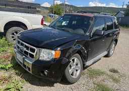 2010 FORD ESCAPE LIMITED
