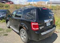 2010 FORD ESCAPE LIMITED