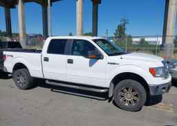 2014 FORD F150