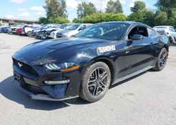 2019 FORD MUSTANG