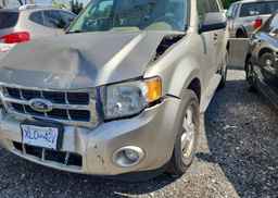 2012 FORD ESCAPE XLT