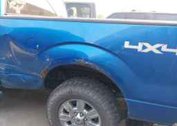 2009 FORD F150