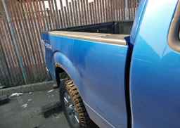 2009 FORD F150