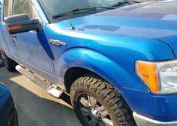2009 FORD F150