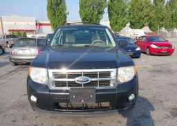2012 FORD ESCAPE XLT