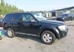 2012 FORD ESCAPE XLT