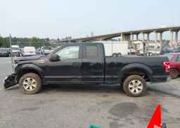 2019 FORD F150