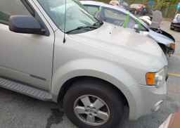 2008 FORD ESCAPE XLT