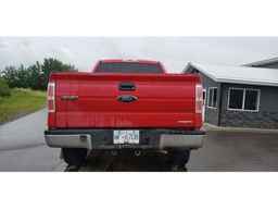 2009 FORD F150