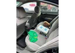 2006 HONDA CIVIC
