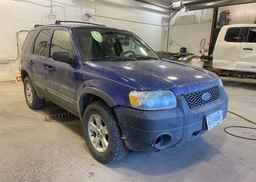 2005 FORD ESCAPE XLT