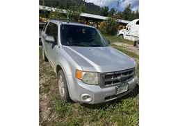 2008 FORD ESCAPE XLT