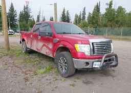 2010 FORD F150 SUPERCREW