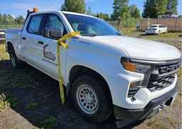 2023 CHEVROLET SILVERADO K1500