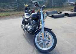 2009 HARLEY-DAVIDSON FXD