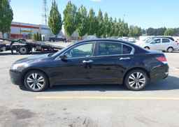 2008 HONDA ACCORD EXL