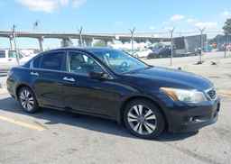 2008 HONDA ACCORD EXL