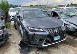 2025 LEXUS UX 300H