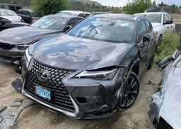 2025 LEXUS UX 300H