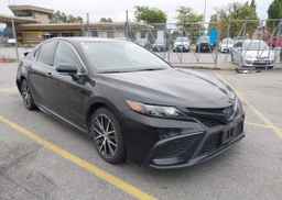 2023 TOYOTA CAMRY