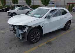 2019 LEXUS UX 250H