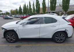 2019 LEXUS UX 250H