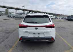 2019 LEXUS UX 250H