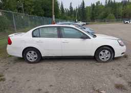 2004 CHEVROLET MALIBU LS
