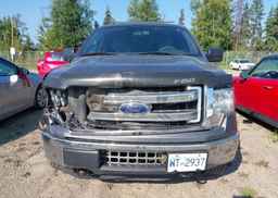 2013 FORD F150 SUPER CAB
