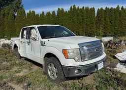 2010 FORD F150
