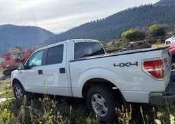 2010 FORD F150