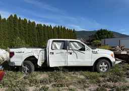 2010 FORD F150