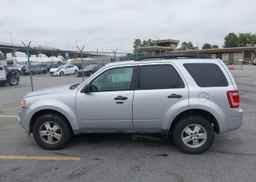 2010 FORD ESCAPE XLT