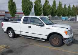2009 FORD F150