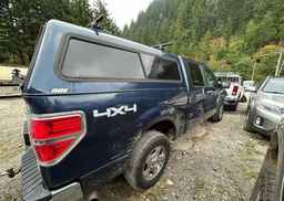 2014 FORD F150