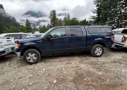2014 FORD F150
