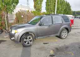 2011 FORD ESCAPE XLT
