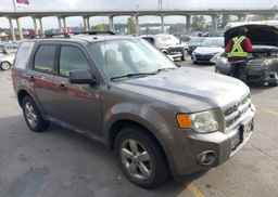 2011 FORD ESCAPE XLT