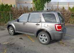 2011 FORD ESCAPE XLT
