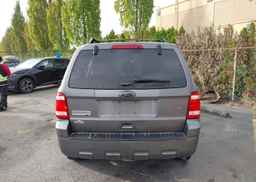 2011 FORD ESCAPE XLT
