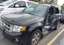 2010 FORD ESCAPE XLT